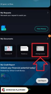 How to Check Driving License in Abu Dhabi Via TAMM App